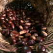 rossoSangerardese